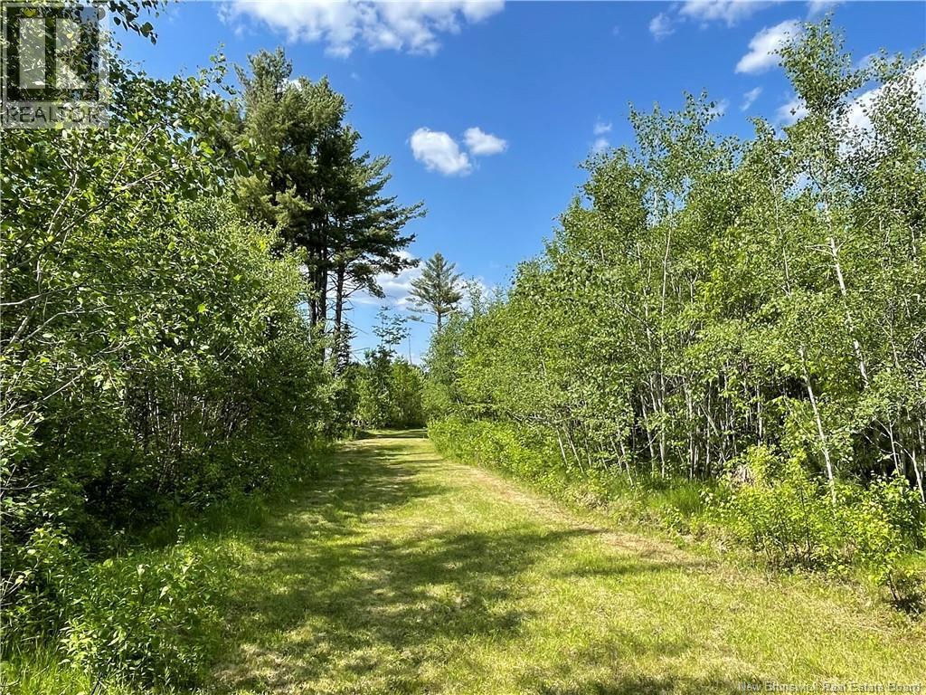 9386 11 Route, Saint Margarets, New Brunswick  E1N 5C5 - Photo 1 - NB125492