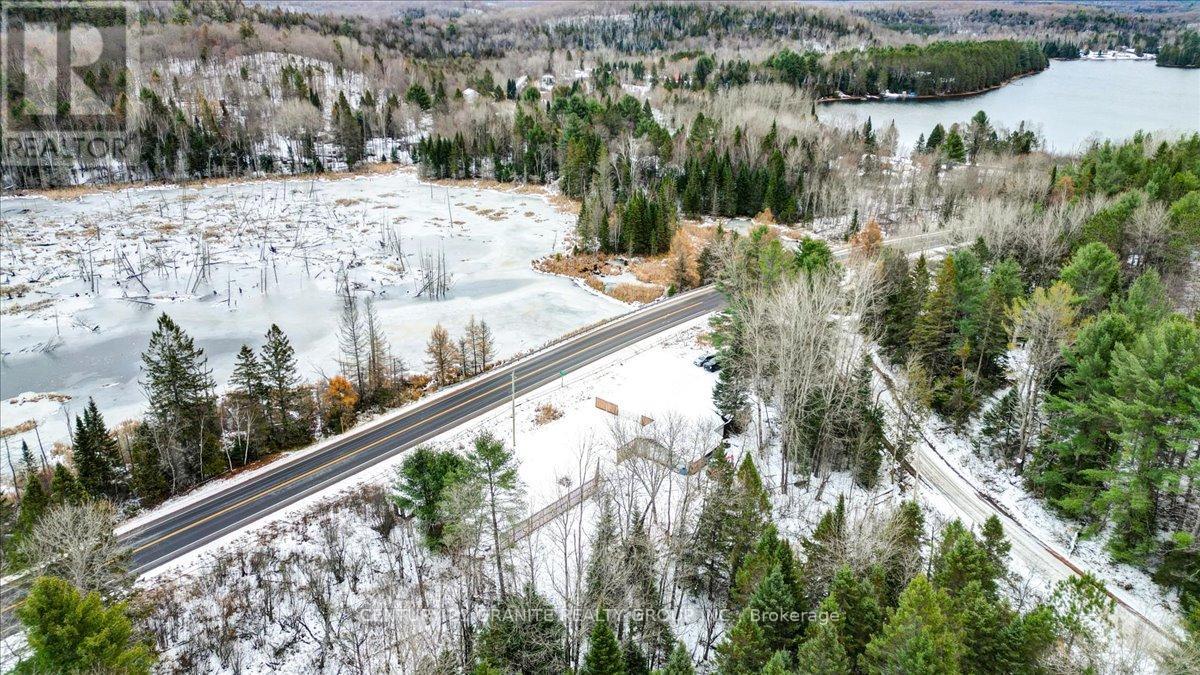 1725 Loop Road, Highlands East, Ontario  K0L 3C0 - Photo 17 - X12564112