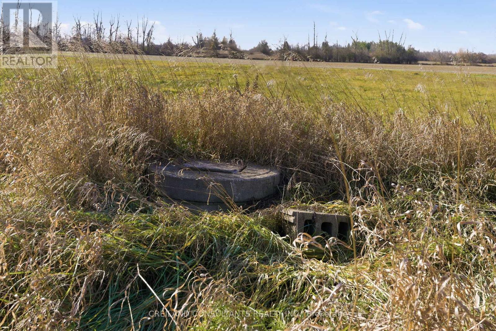 2133 Little Britain Road, Kawartha Lakes, Ontario  K9V 4R2 - Photo 11 - X12564040