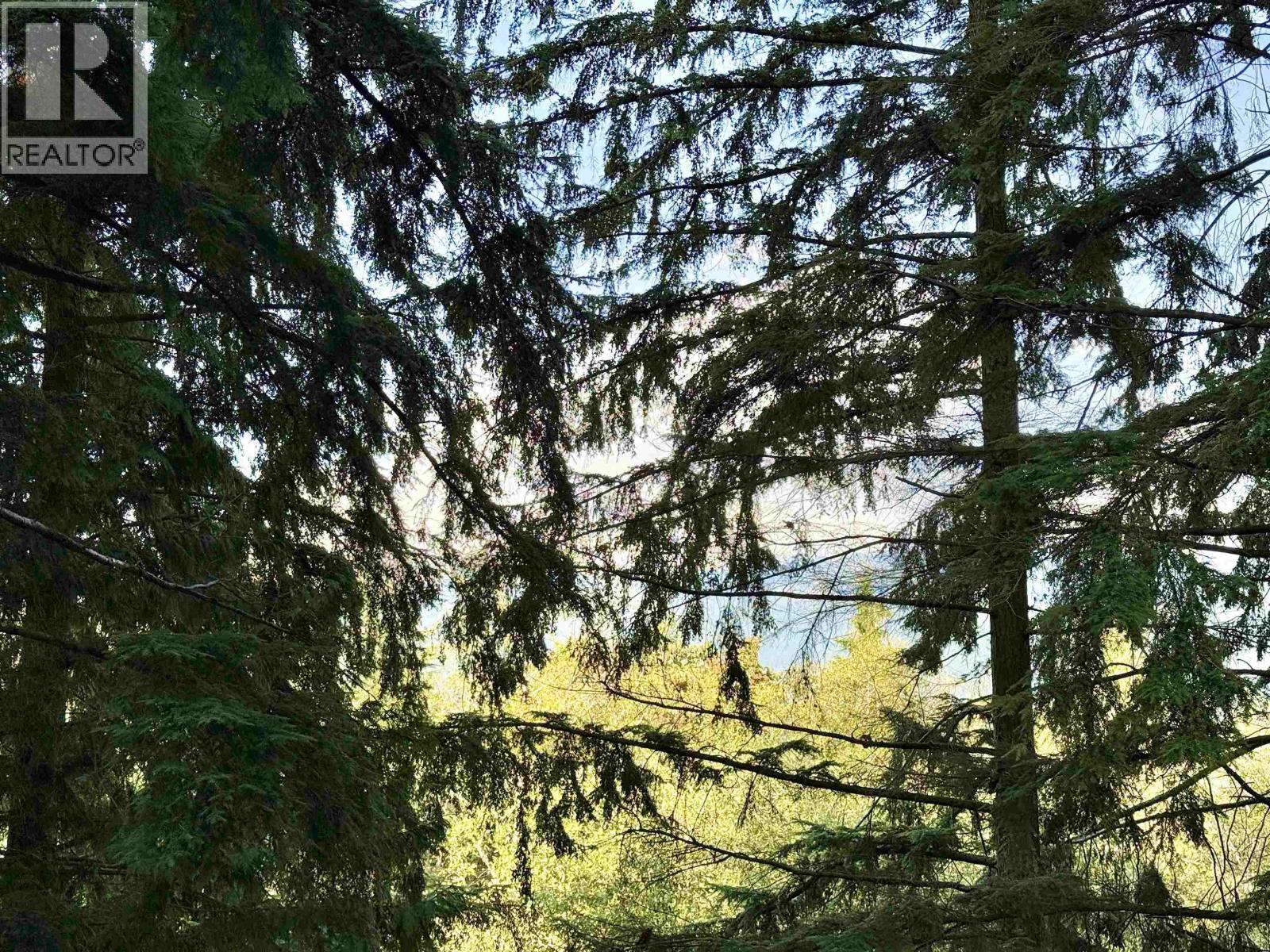 305 9232 University Crescent, Burnaby, British Columbia  V5A 0A3 - Photo 30 - R3056526