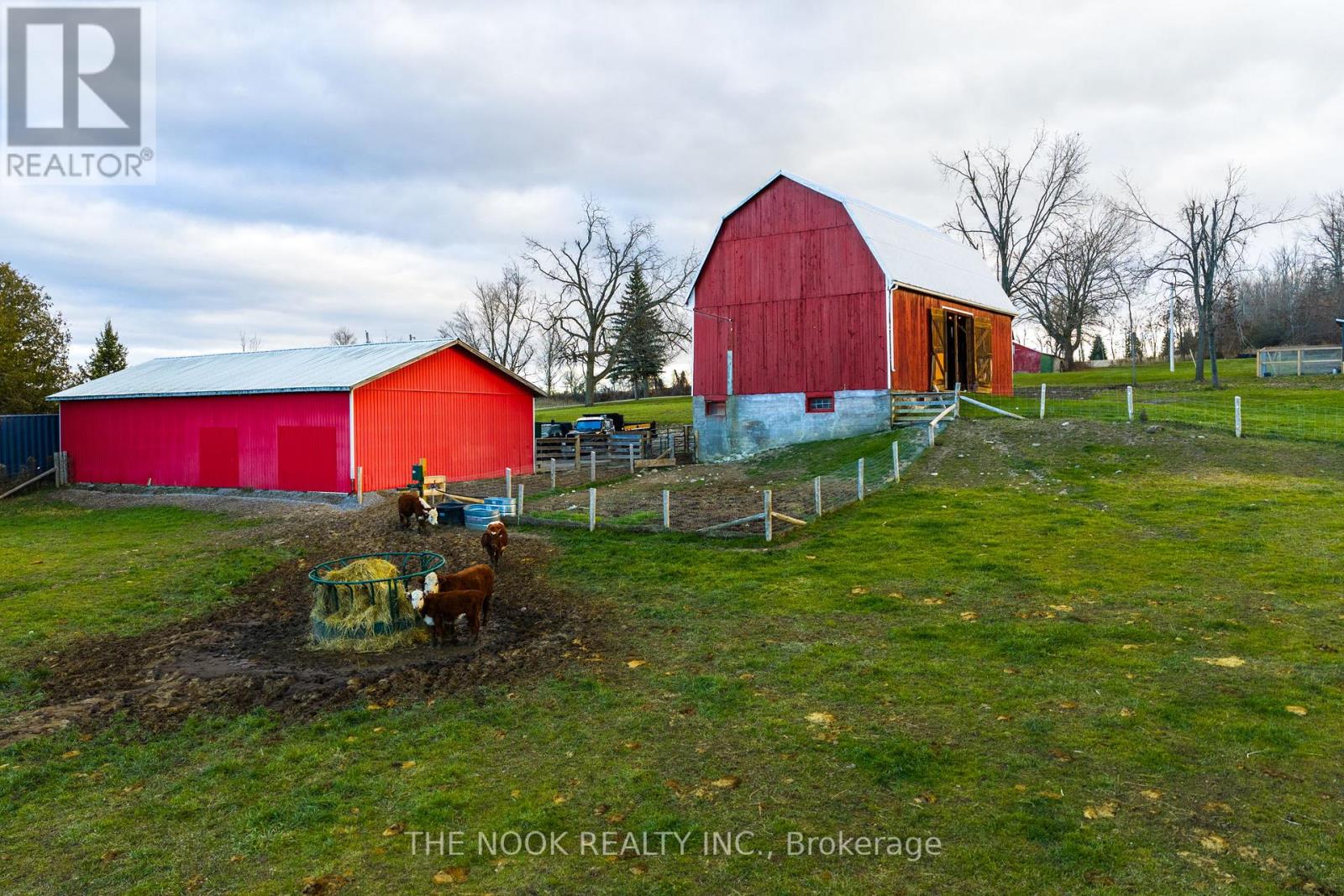 2132 County 10 Road, Cavan Monaghan, Ontario  L0A 1C0 - Photo 7 - X12564276