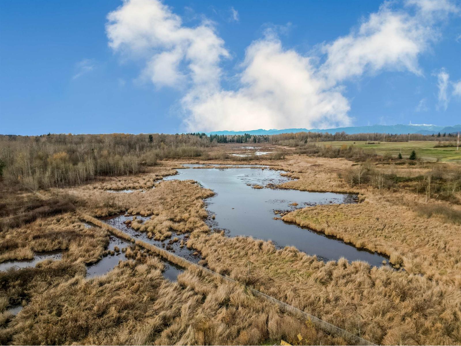27032 35b Avenue, Langley, British Columbia V4W 0C3 - Photo 5 - R3068994