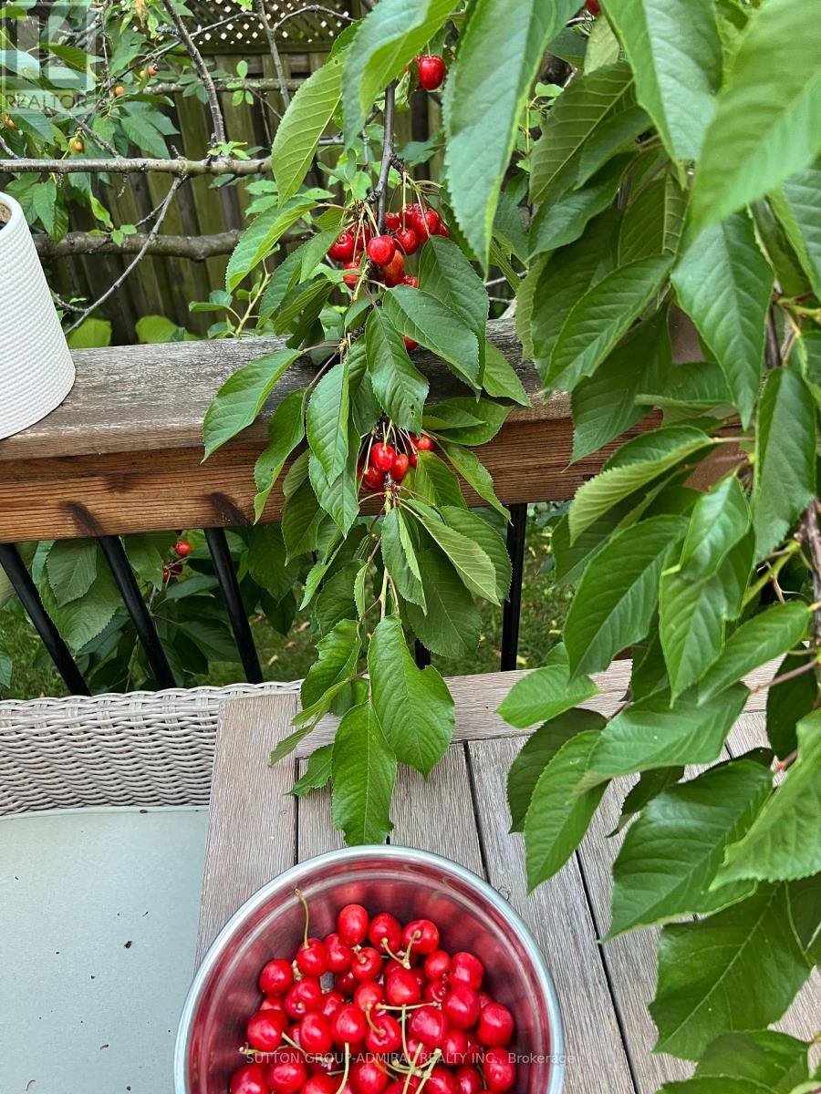 125 Thornway Avenue, Vaughan, Ontario  L4J 7Z3 - Photo 40 - N12564262