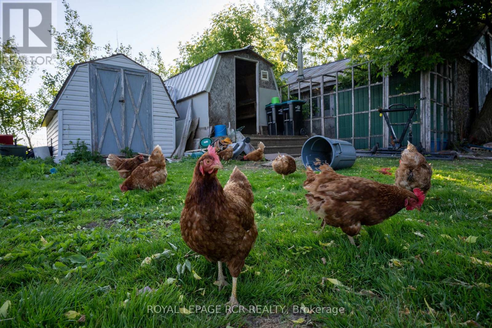 2606 Crossland Road, Springwater, Ontario  L0L 1P0 - Photo 24 - S12564320