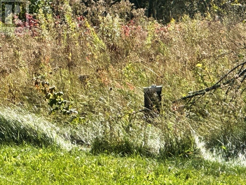 267 Sitch Road, Kakabeka Falls, Ontario  P0T 1W0 - Photo 47 - TB253245