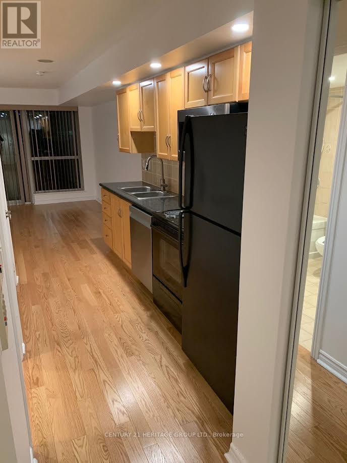 534 - 250 Wellington Street W, Toronto, Ontario  M5V 3P6 - Photo 3 - C12564074