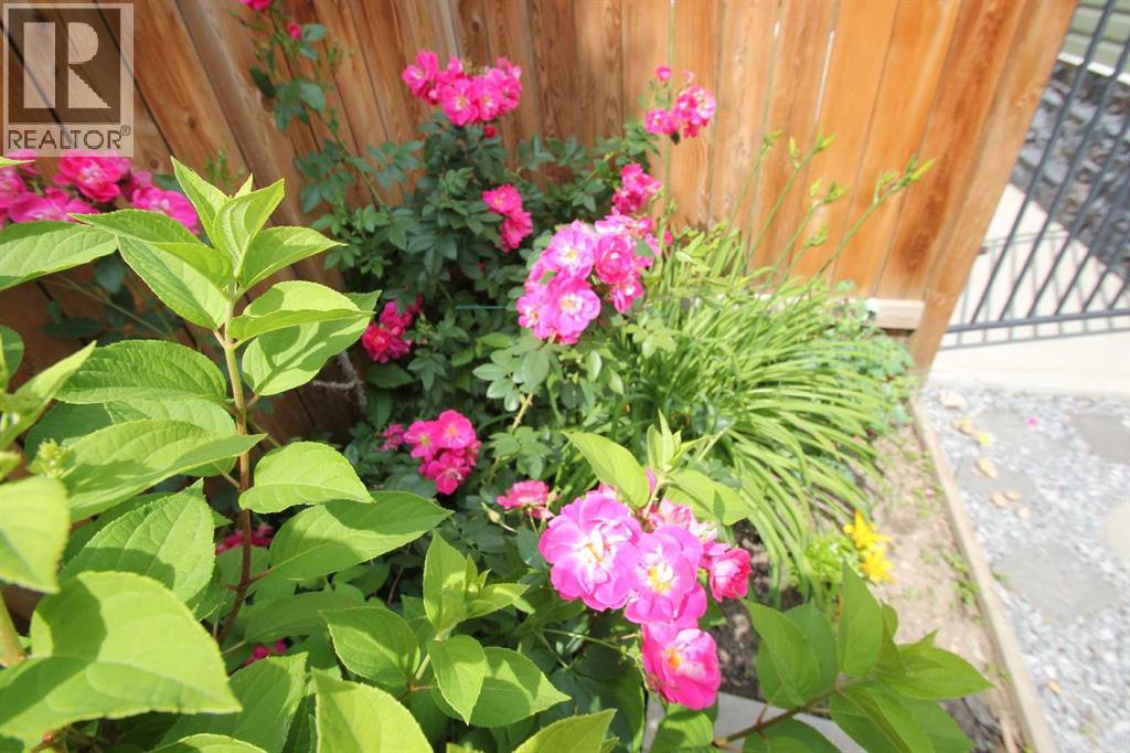 4109 51a Street, Red Deer, Alberta  T4N 2B4 - Photo 29 - A2269998