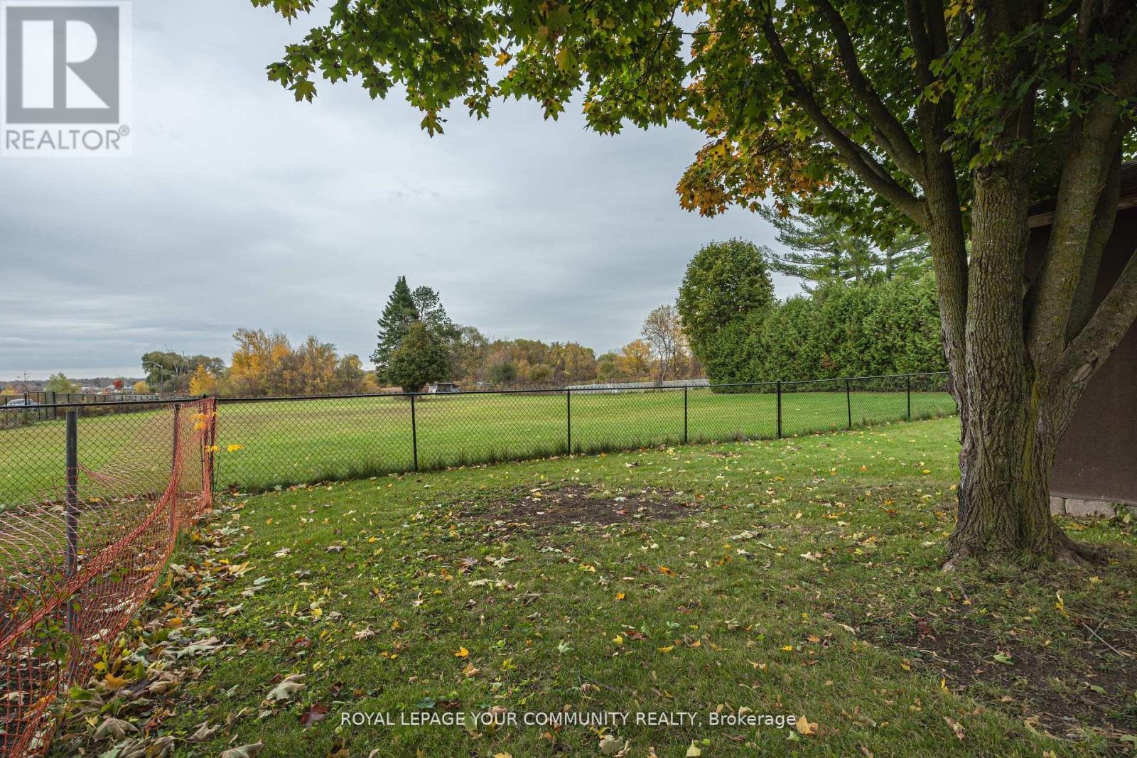Basement - 173 Simcoe Road, Bradford West Gwillimbury, Ontario  L3Z 1Y3 - Photo 10 - N12564610