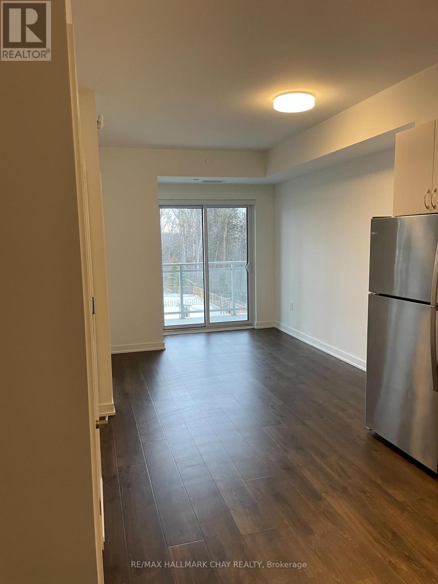 202 - 56 Lakeside Terrace, Barrie, Ontario  L4M 0L4 - Photo 6 - S12564532