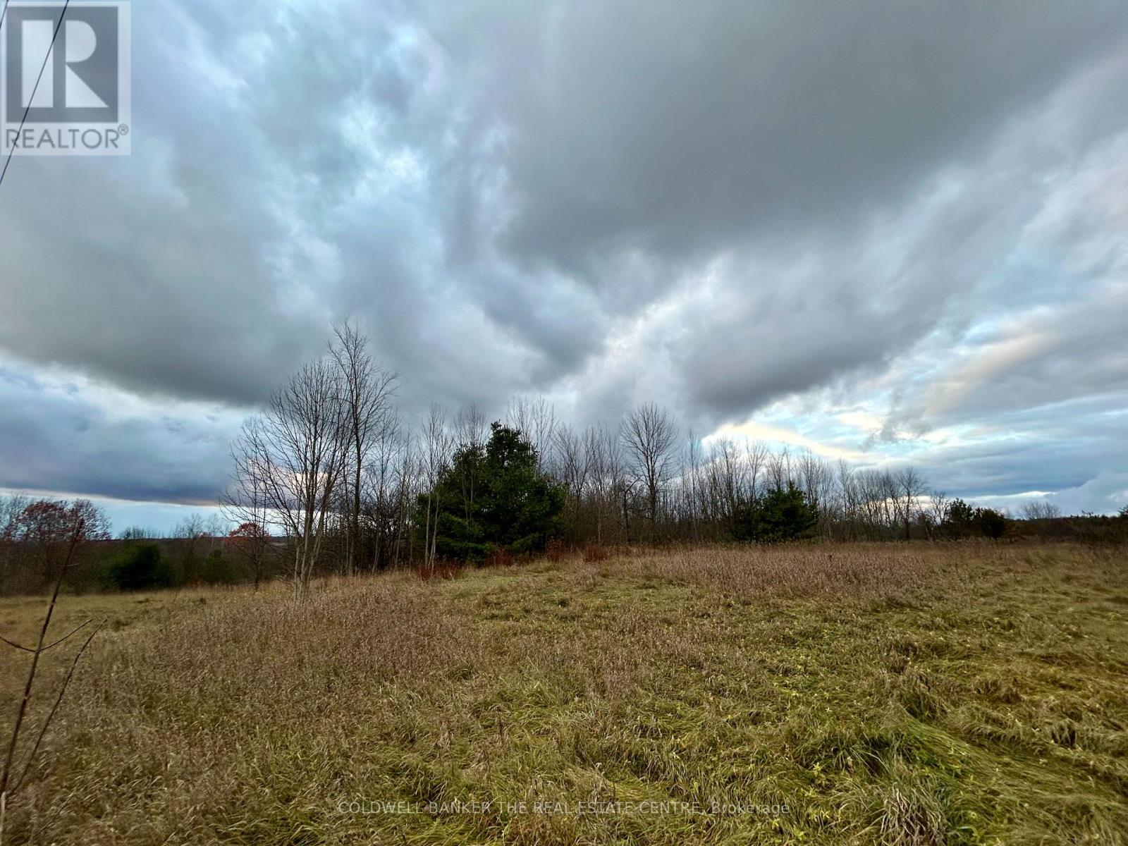 4056 Horseshoe Valley Road W, Springwater, Ontario  L9X 0Z6 - Photo 4 - S12564578