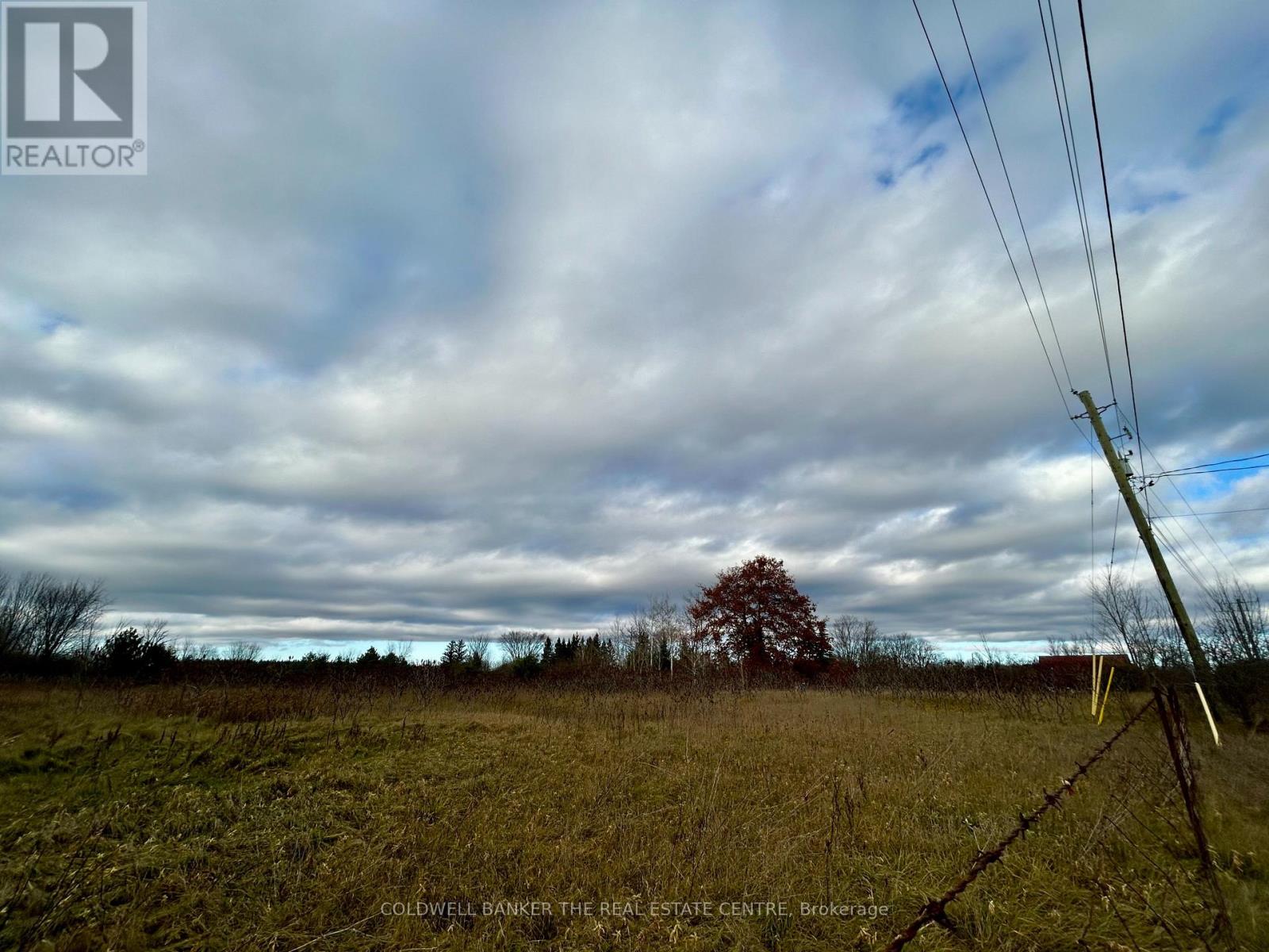 4056 Horseshoe Valley Road W, Springwater, Ontario  L9X 0Z6 - Photo 5 - S12564578