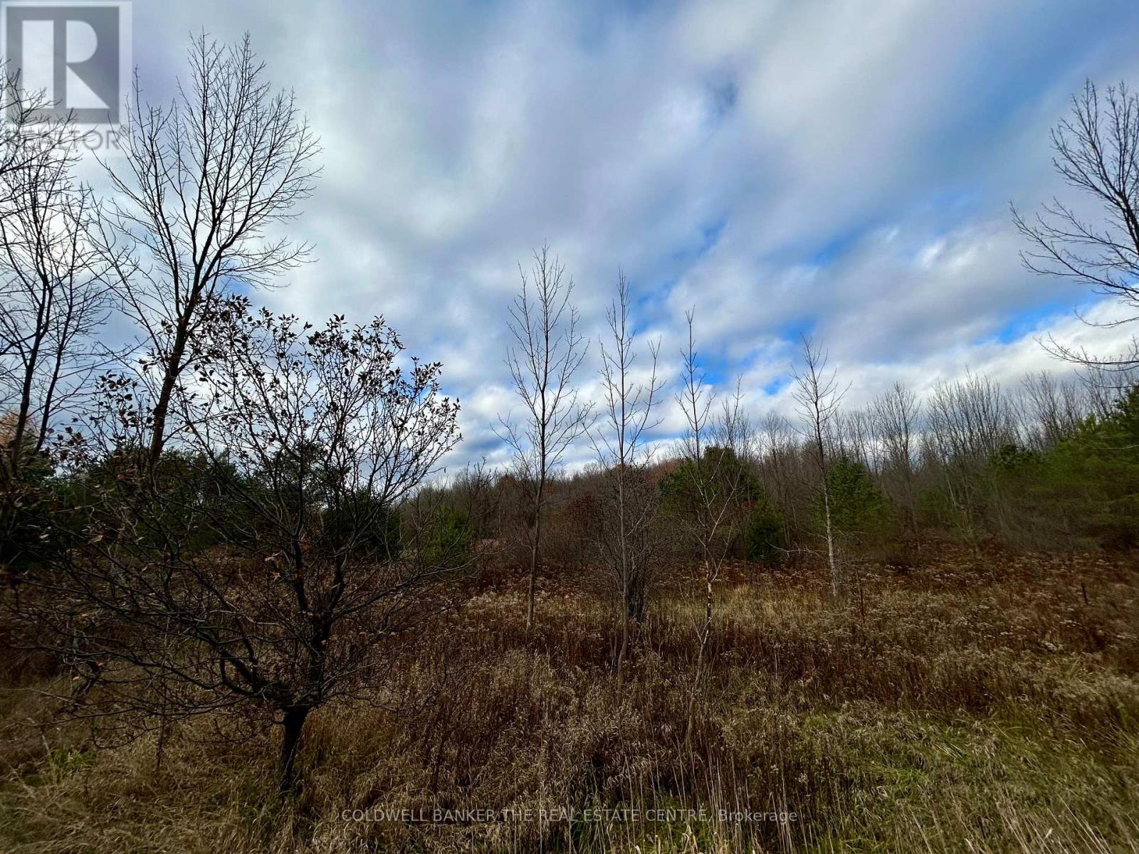 4056 Horseshoe Valley Road W, Springwater, Ontario  L9X 0Z6 - Photo 6 - S12564578