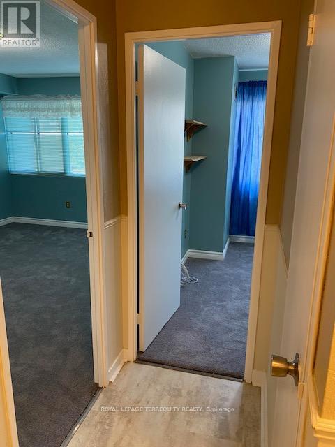 604 - 50 Elm Drive E, Mississauga, Ontario  L5A 3X2 - Photo 28 - W12564580