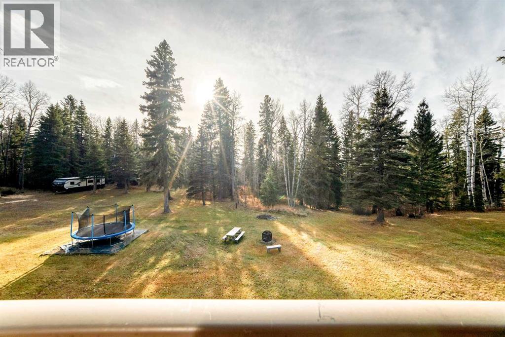 41 Ferrier Drive, Rural Clearwater County, Alberta  T4T 1B3 - Photo 19 - A2270682