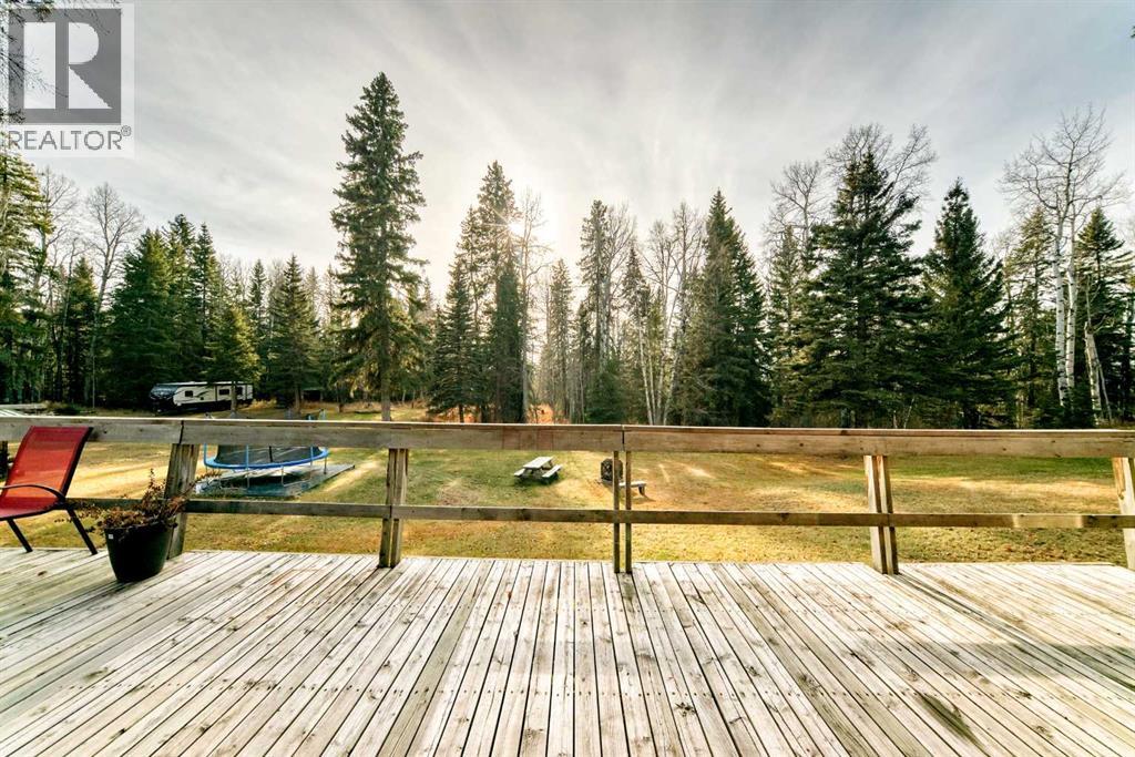 41 Ferrier Drive, Rural Clearwater County, Alberta  T4T 1B3 - Photo 34 - A2270682