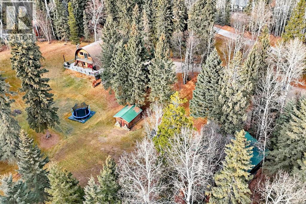 41 Ferrier Drive, Rural Clearwater County, Alberta  T4T 1B3 - Photo 43 - A2270682