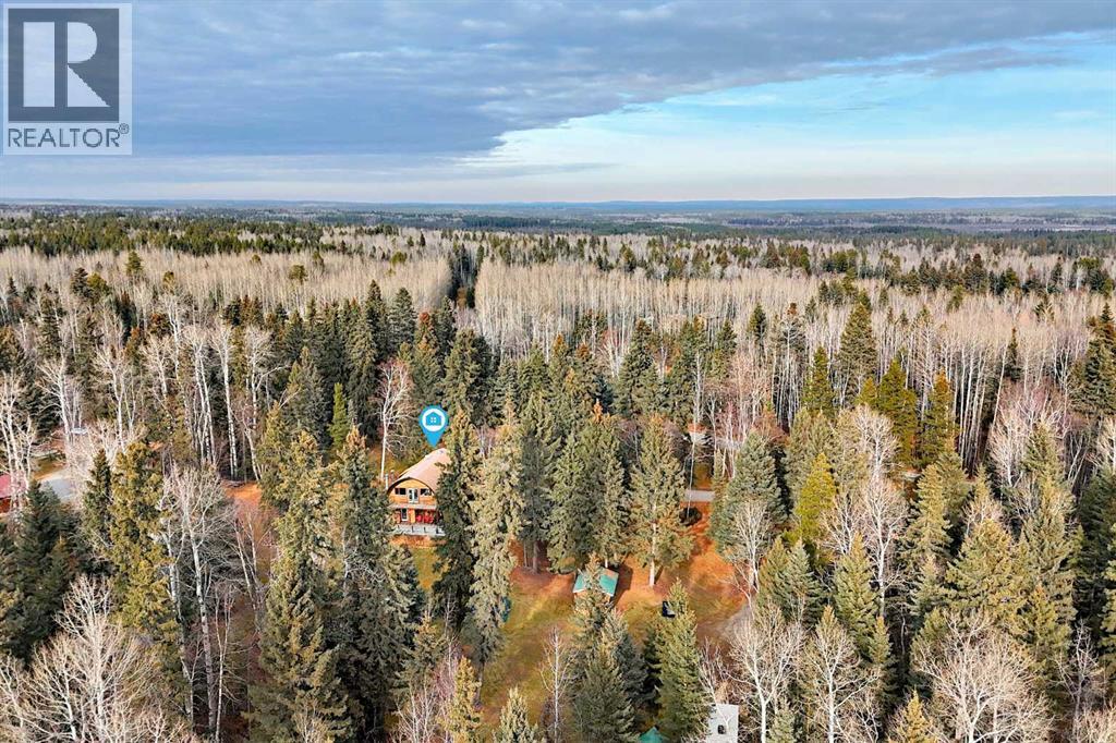 41 Ferrier Drive, Rural Clearwater County, Alberta  T4T 1B3 - Photo 45 - A2270682