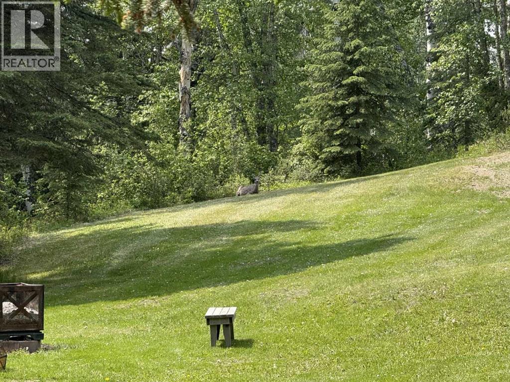 41 Ferrier Drive, Rural Clearwater County, Alberta  T4T 1B3 - Photo 48 - A2270682