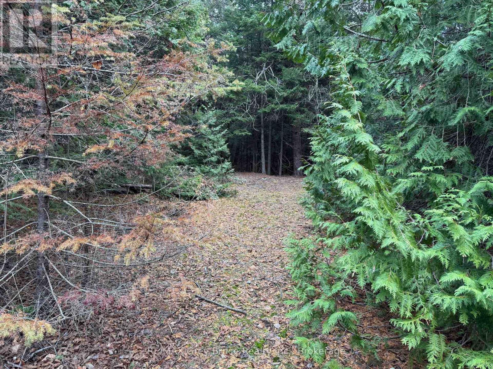 915 Third Avenue N, South Bruce Peninsula, Ontario  N0H 2G0 - Photo 4 - X12564664