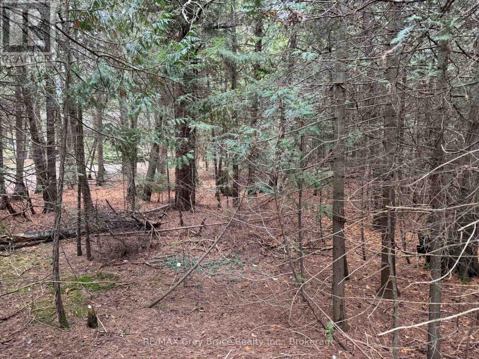 915 Third Avenue N, South Bruce Peninsula, Ontario  N0H 2G0 - Photo 5 - X12564664