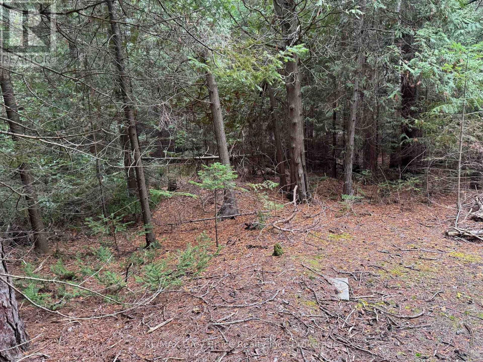 915 Third Avenue N, South Bruce Peninsula, Ontario  N0H 2G0 - Photo 6 - X12564664