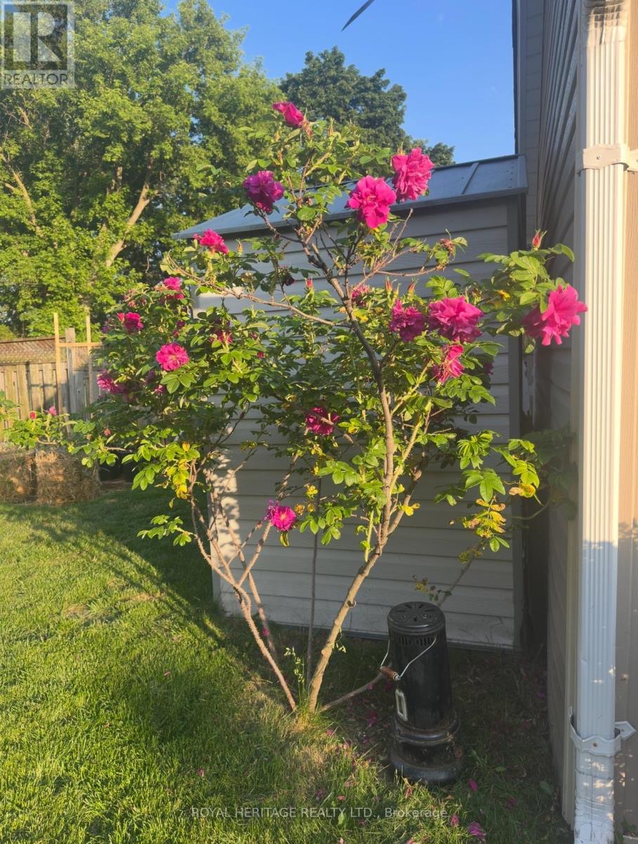 245 Elizabeth Street, Oshawa, Ontario  L1J 5S5 - Photo 37 - E12543960