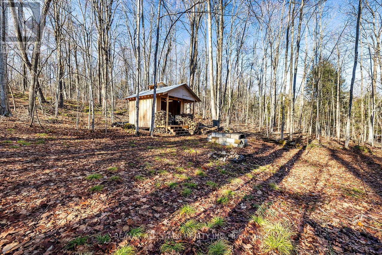 1980 Concession Rd 5 Road, Brock, Ontario  L0C 1H0 - Photo 39 - N12562576