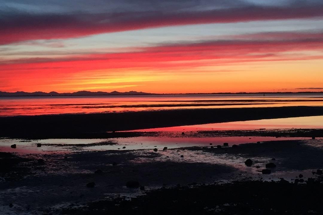 12503 28 Avenue, Surrey, British Columbia  V4A 2N8 - Photo 4 - R3068962