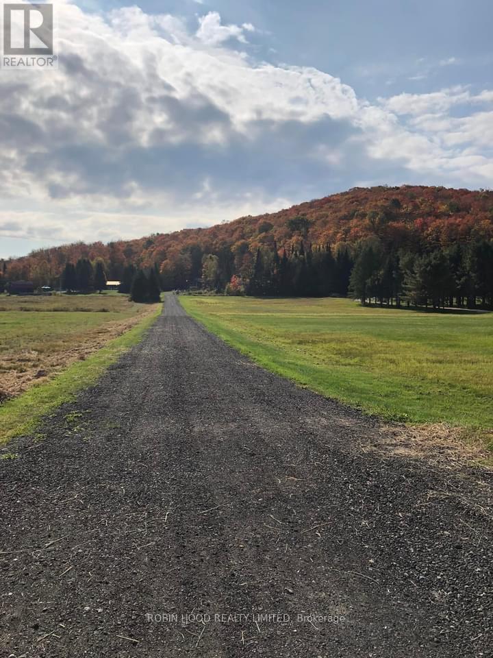 421 Peggs Mountain Road, Ryerson, Ontario  P0A 1C0 - Photo 5 - X12563896