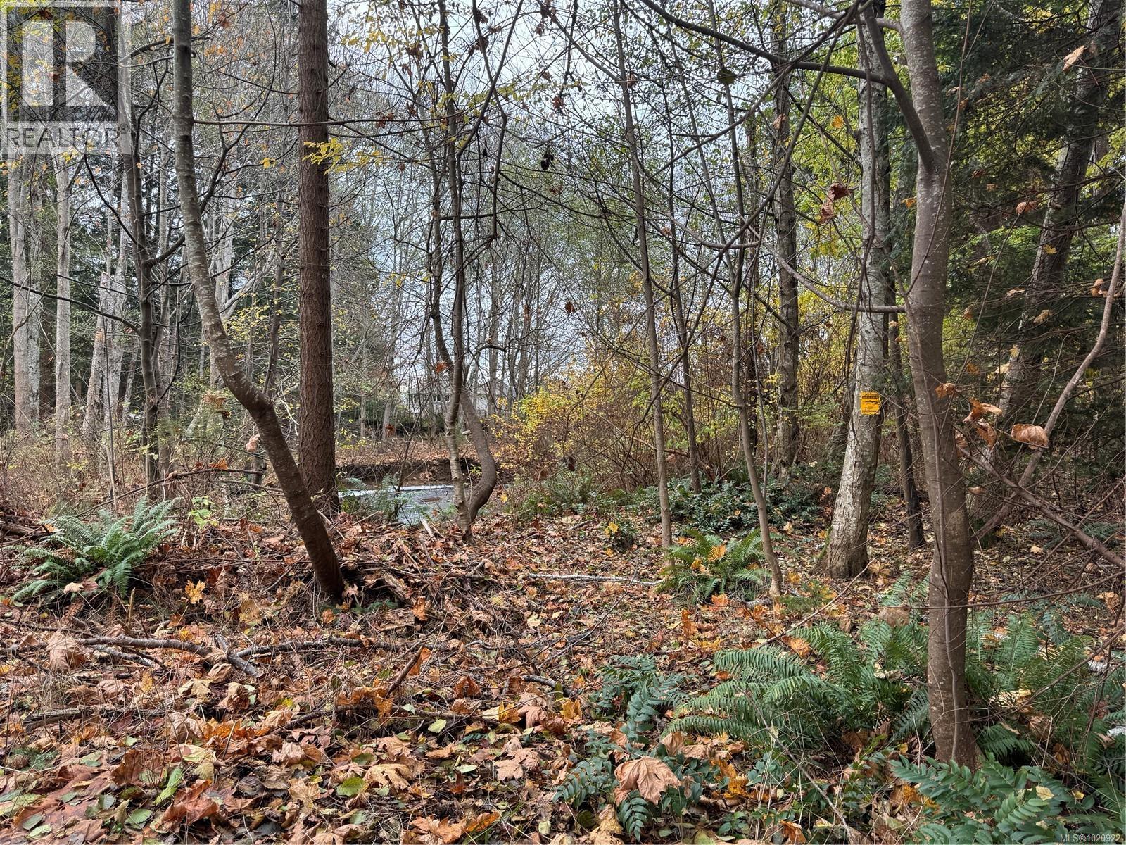 B 513 Erickson Rd, Campbell River, British Columbia  V9W 1S8 - Photo 2 - 1020922