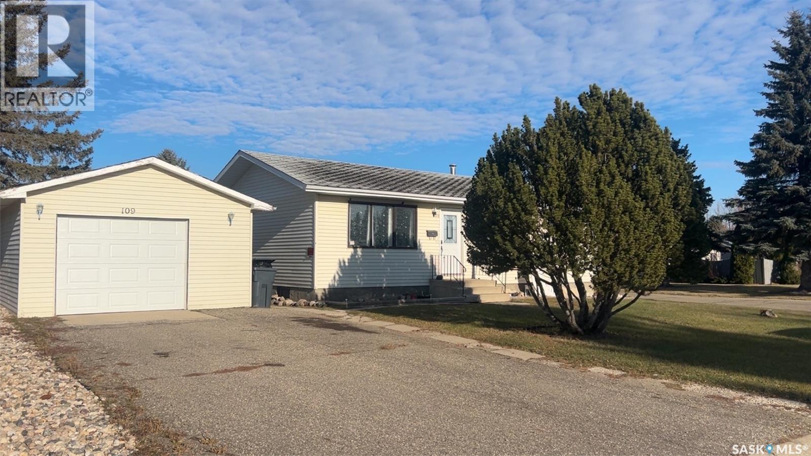 109 Collins Avenue, Springside, Saskatchewan  S0A 3V0 - Photo 2 - SK024255