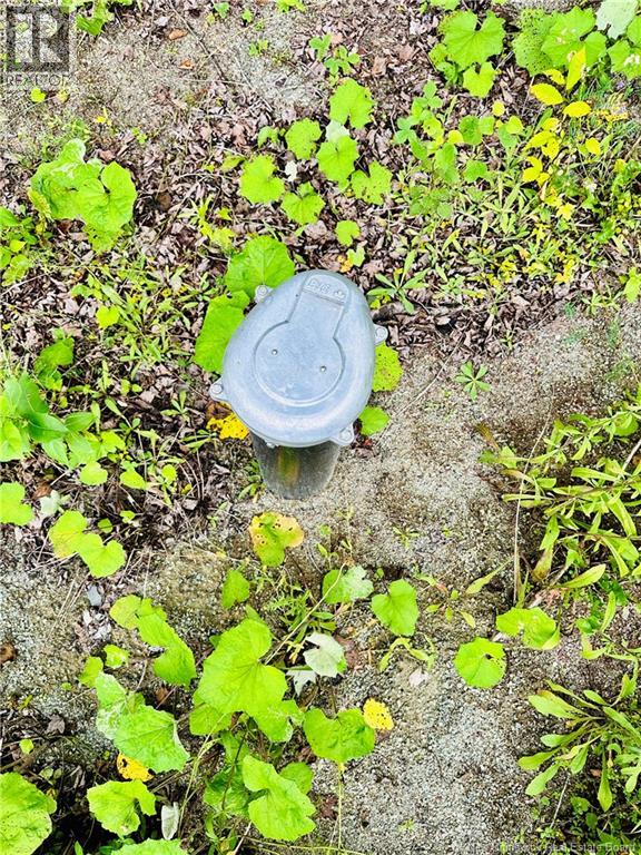 Lot 02-1 Slater Road, Maxwell, New Brunswick  E7N 2Z8 - Photo 37 - NB123026