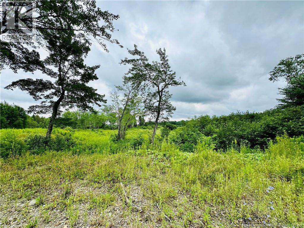 Lot 02-1 Slater Road, Maxwell, New Brunswick  E7N 2Z8 - Photo 28 - NB123026
