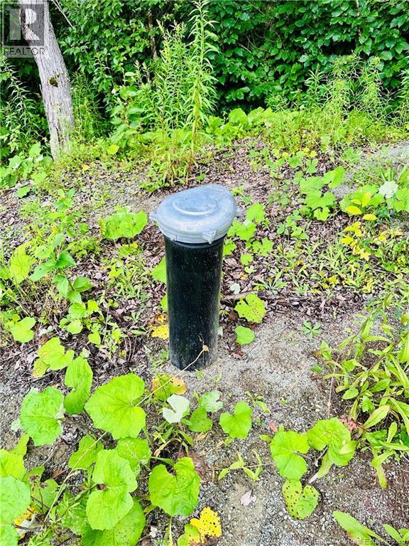 Lot 02-1 Slater Road, Maxwell, New Brunswick  E7N 2Z8 - Photo 34 - NB123026