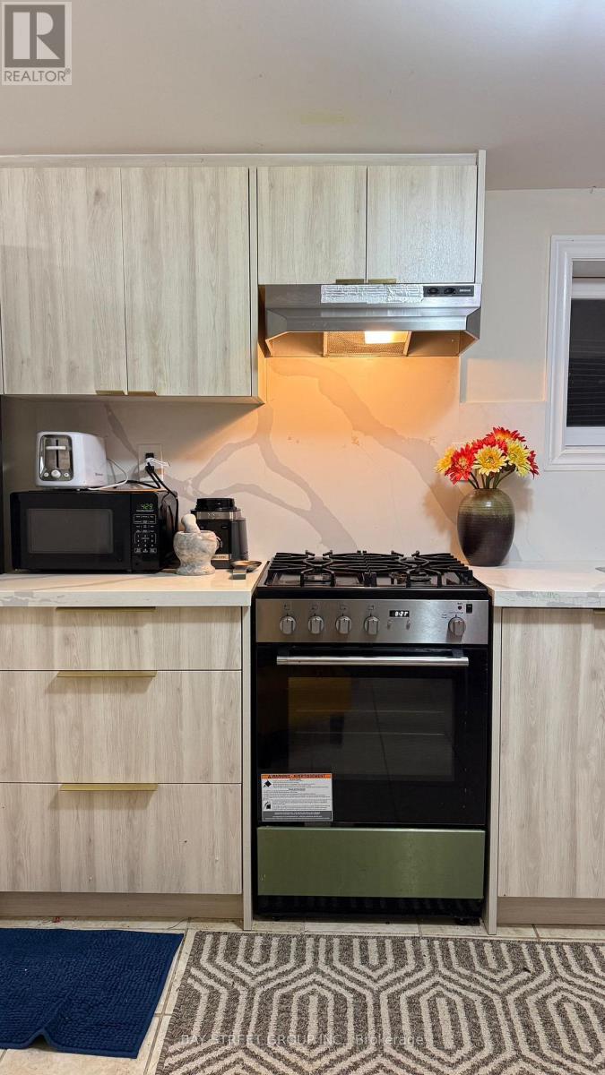 Bsmt - 657 Pharmacy Avenue, Toronto, Ontario  M1L 3H6 - Photo 4 - E12565104