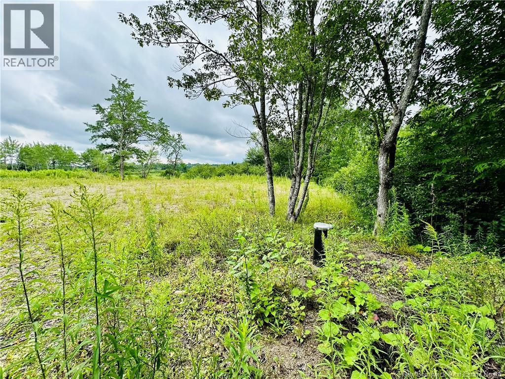 Lot 02-1 Slater Road, Maxwell, New Brunswick  E7N 2Z8 - Photo 24 - NB123026