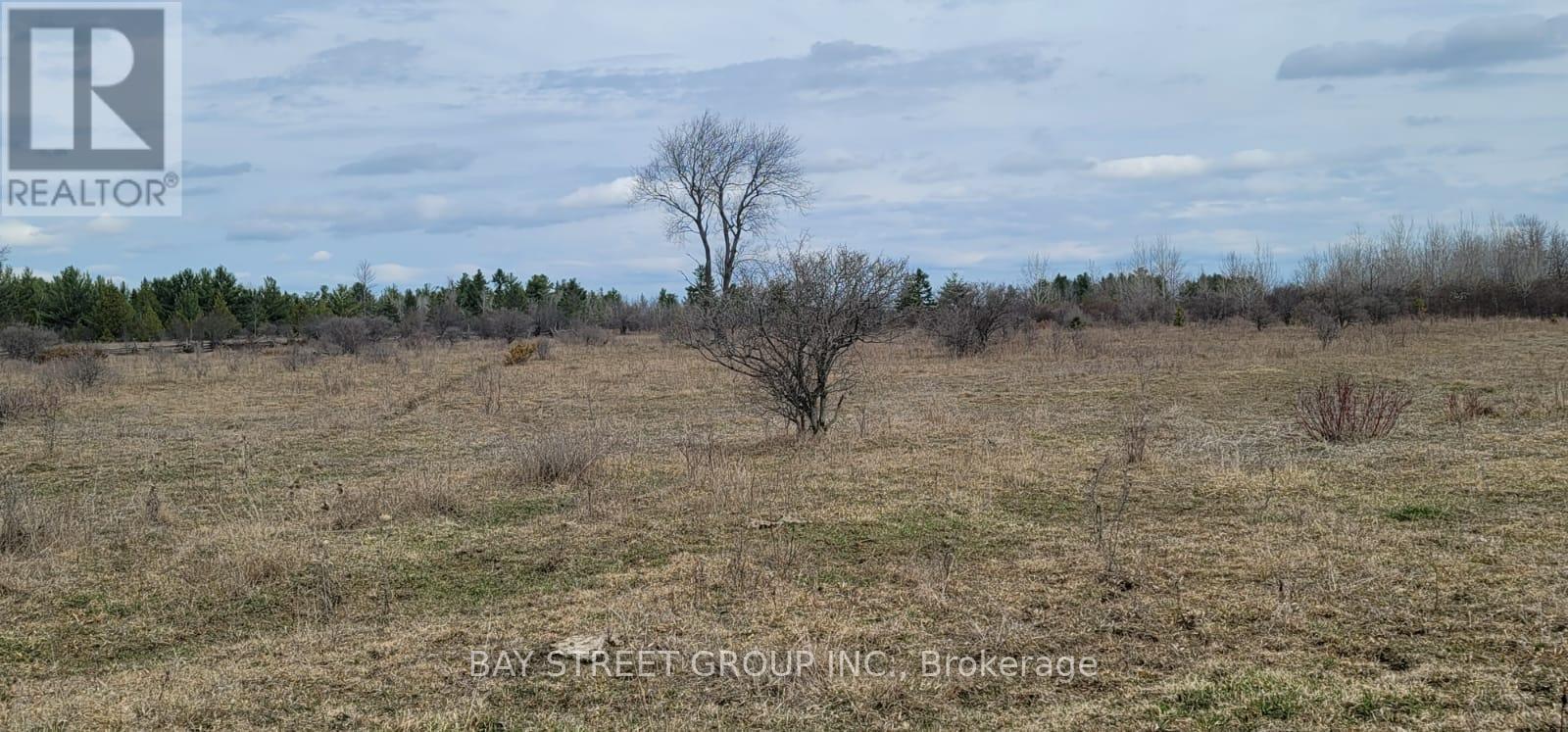 Lt24 Con4 Eldon Road, Kawartha Lakes, Ontario  K0K 2T0 - Photo 3 - X12565108