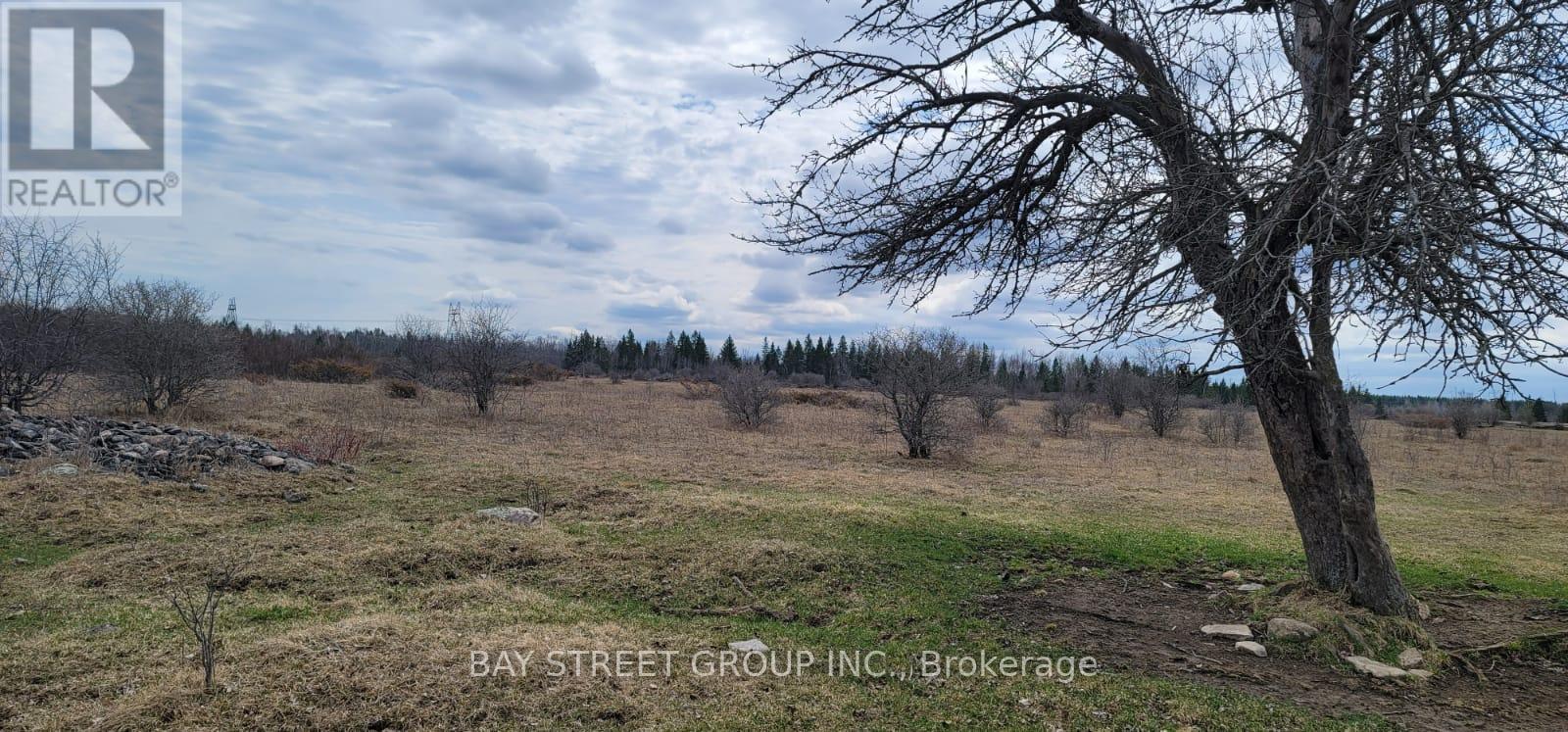 Lt24 Con4 Eldon Road, Kawartha Lakes, Ontario  K0K 2T0 - Photo 5 - X12565108