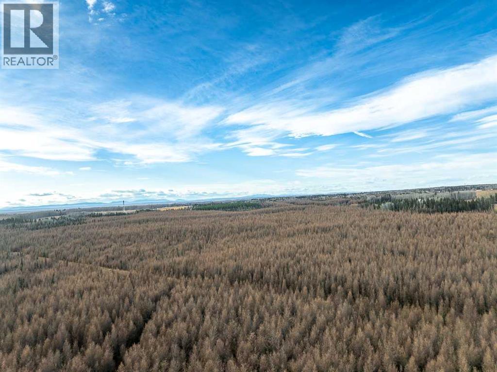 Range Road 6.2, Rural Clearwater County, Alberta  T0M 0C0 - Photo 12 - A2269590