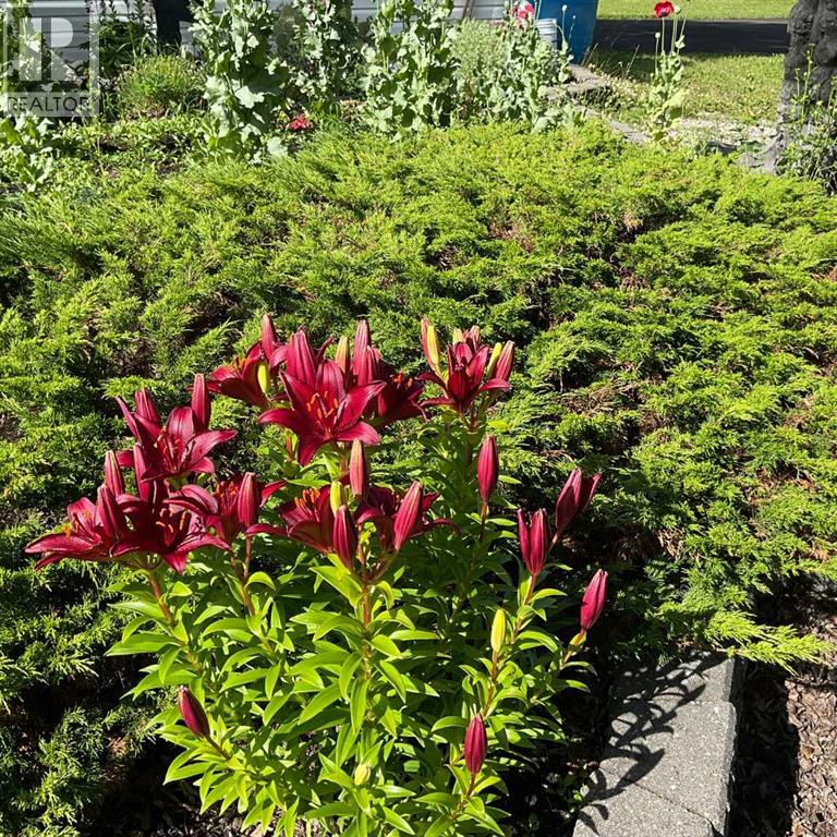 370043 Range Road 6-1, Rural Clearwater County, Alberta  T4T 2A3 - Photo 9 - A2269983