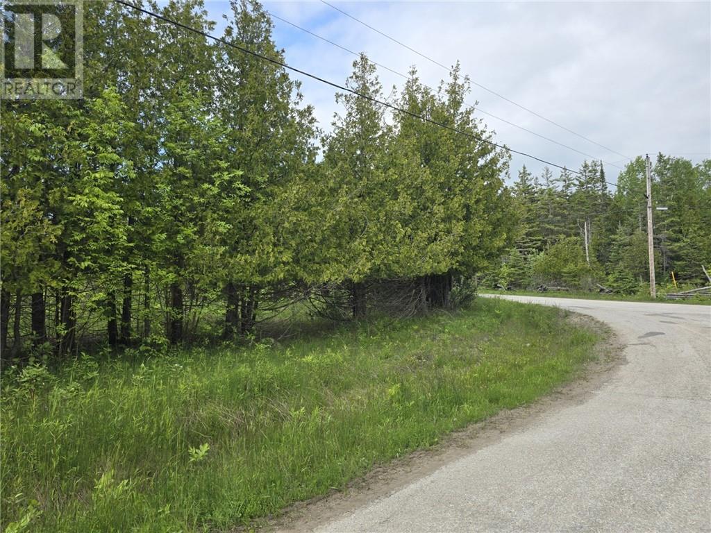 0 Bay St, Honora Bay, Ontario  P0P 1K0 - Photo 8 - 2125735