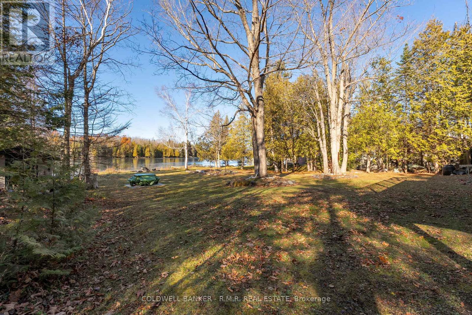 60 Everett Road, Kawartha Lakes, Ontario  K0M 1K0 - Photo 39 - X12565324