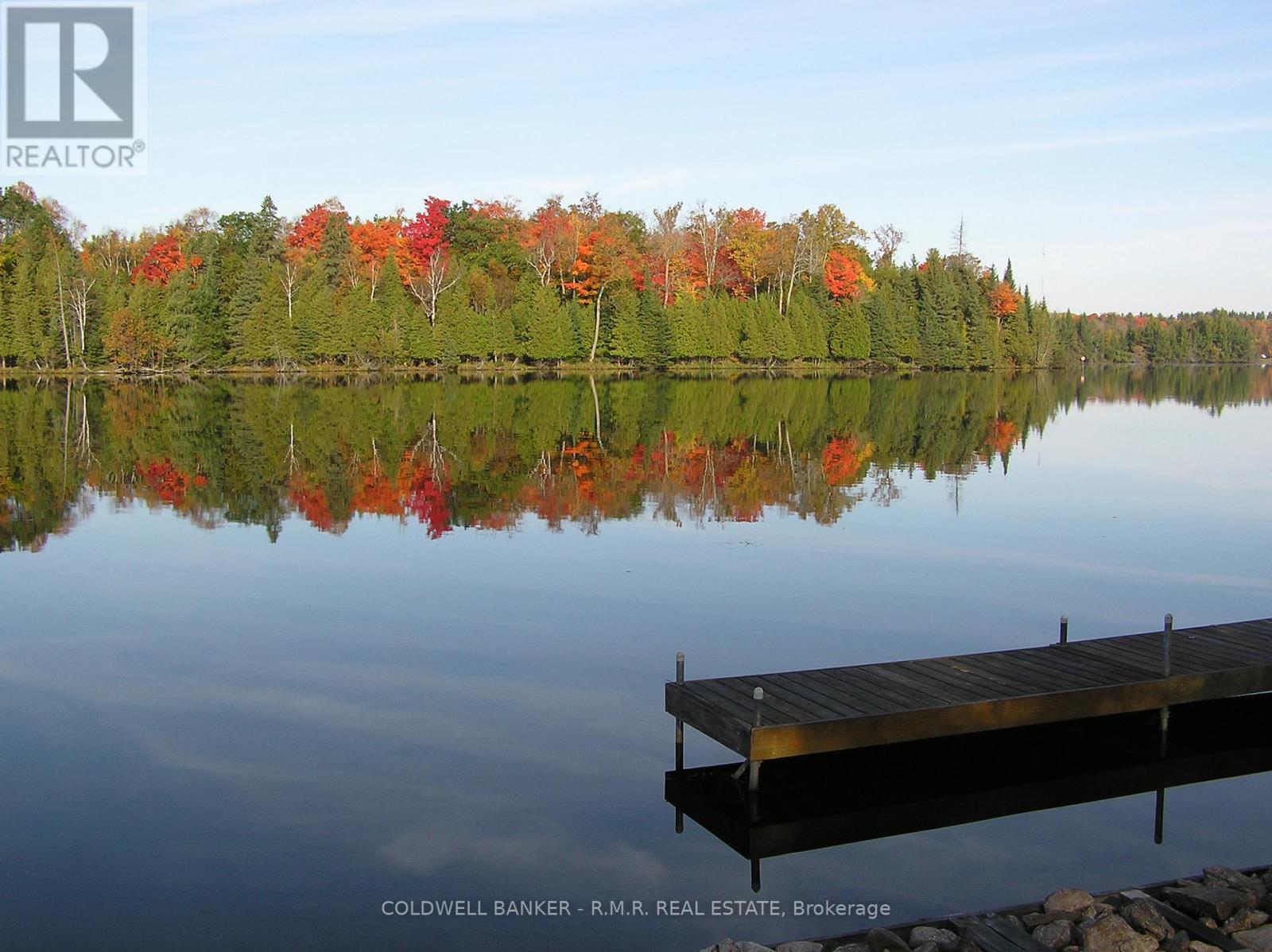 60 Everett Road, Kawartha Lakes, Ontario  K0M 1K0 - Photo 4 - X12565324