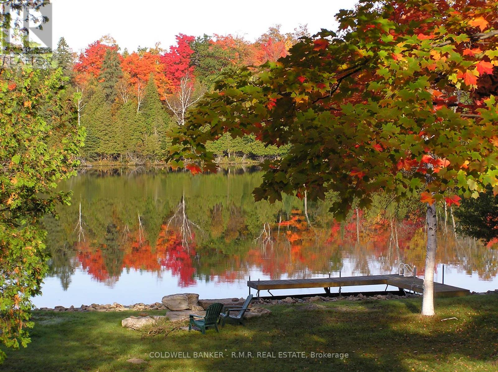 60 Everett Road, Kawartha Lakes, Ontario  K0M 1K0 - Photo 6 - X12565324