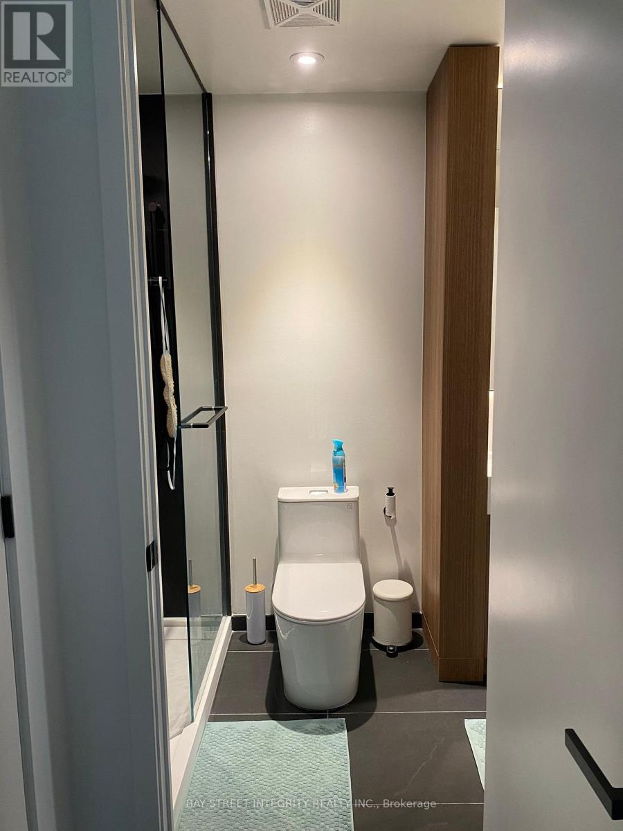 2009 - 55 Charles Street E, Toronto, Ontario  M4Y 1S9 - Photo 12 - C12565256