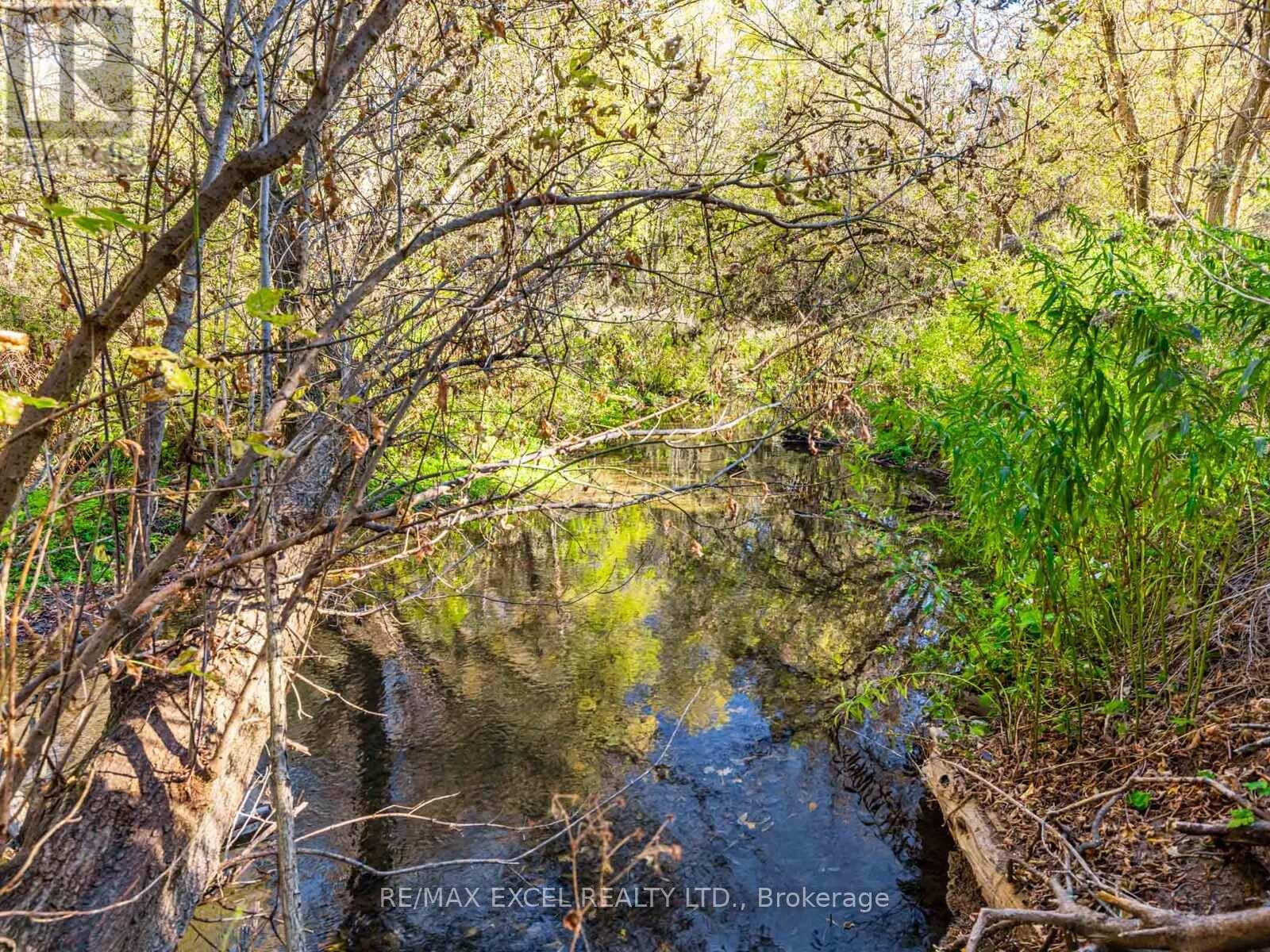 4138 19th Avenue, Markham, Ontario  L6C 1M2 - Photo 38 - N12565240