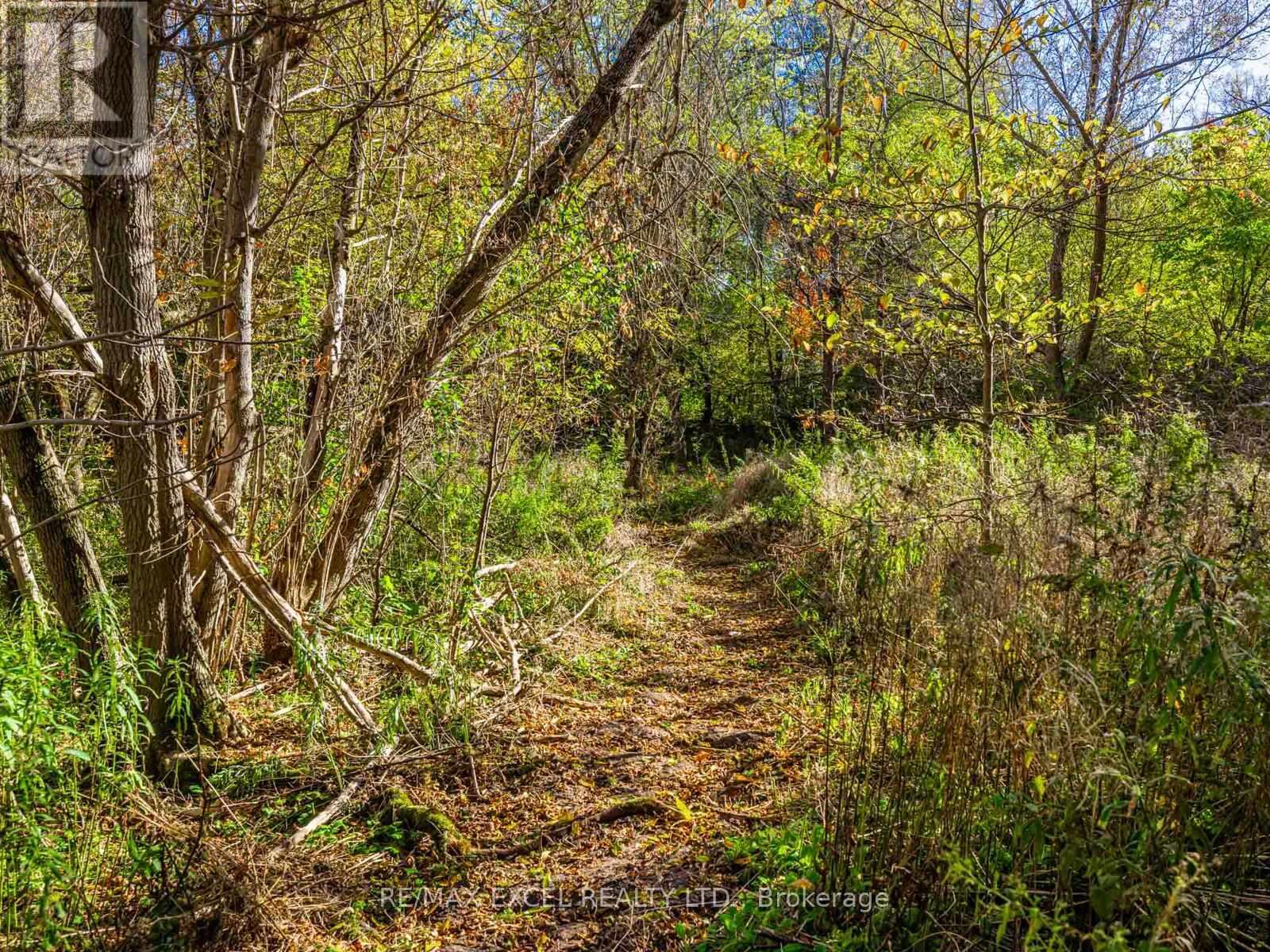 4138 19th Avenue, Markham, Ontario  L6C 1M2 - Photo 39 - N12565240