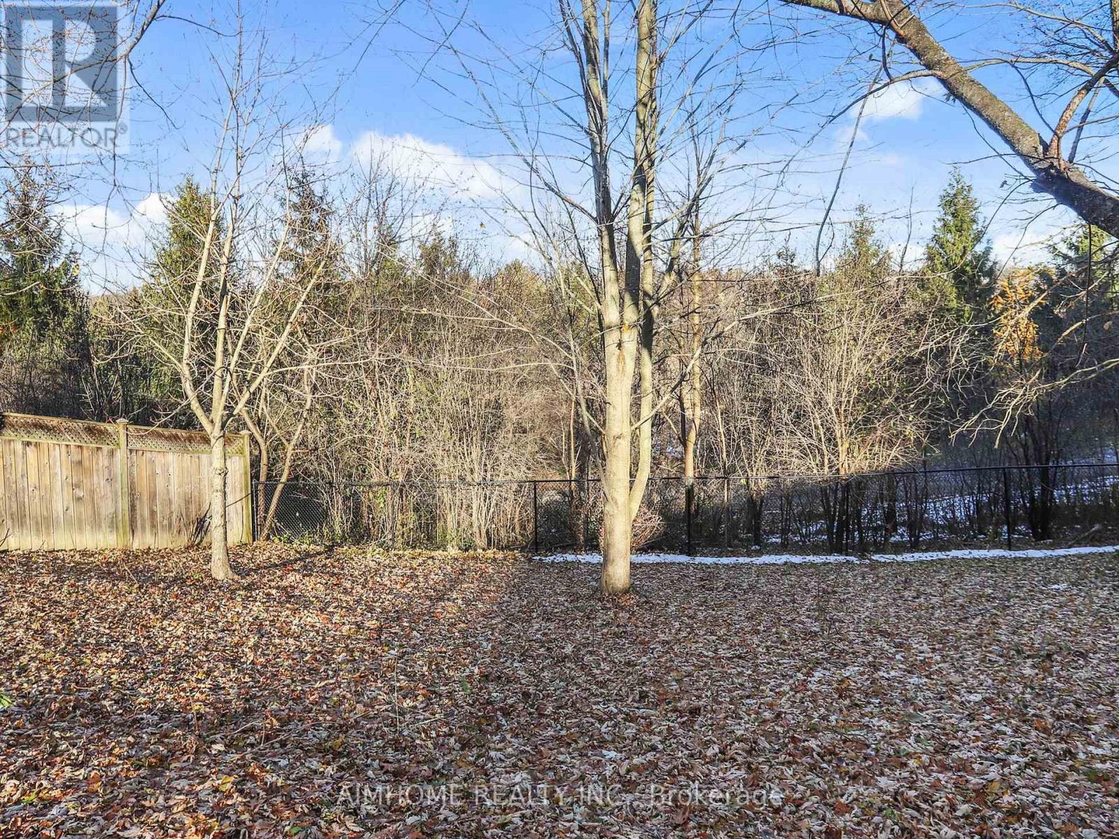 207 Kensit Avenue, Newmarket, Ontario  L3X 1S6 - Photo 46 - N12565244