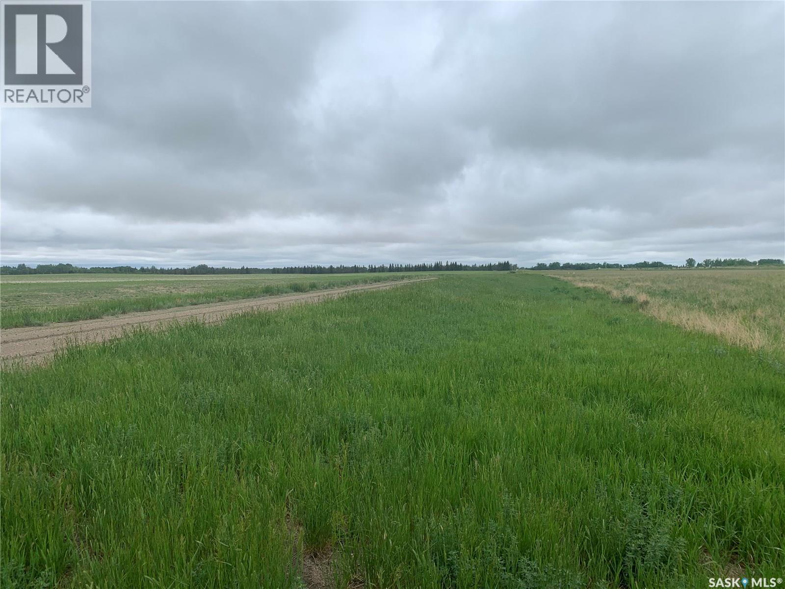 140 Acres Mcdonald Street East On 46, Pilot Butte, Saskatchewan  S0G 4A0 - Photo 10 - SK024408