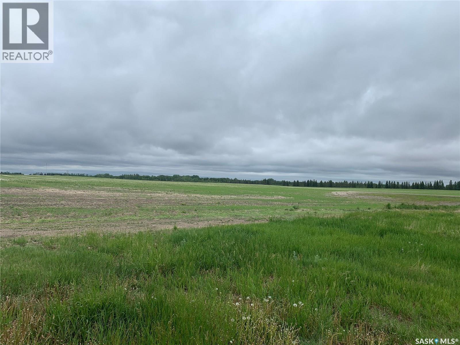 140 Acres Mcdonald Street East On 46, Pilot Butte, Saskatchewan  S0G 4A0 - Photo 12 - SK024408
